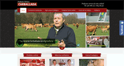 Desktop Screenshot of carniceriacarballada.com