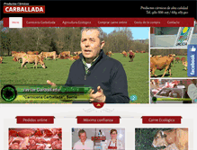 Tablet Screenshot of carniceriacarballada.com